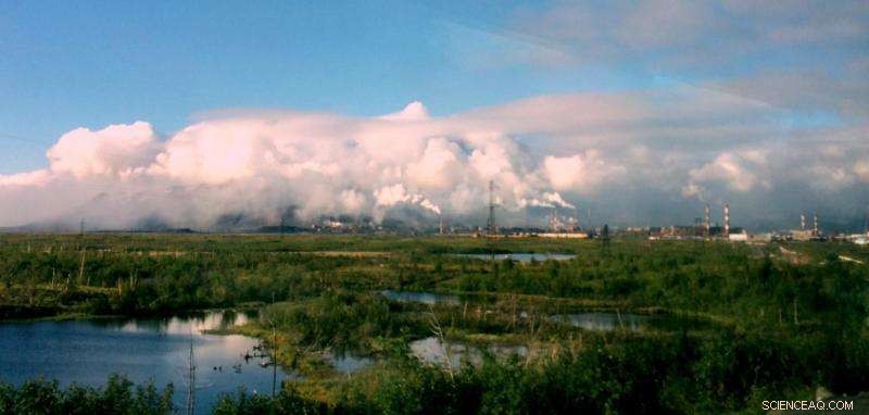 Nickel s Role in Earth s Most Severe Mass Extinction: Unveiling the Permian-Triassic Event