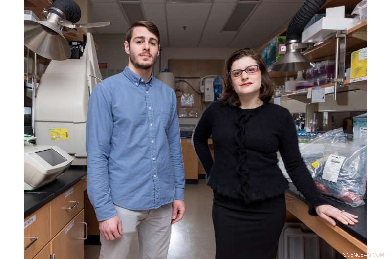 Methane Microbes: The Hidden Engine that Warmed Early Earth