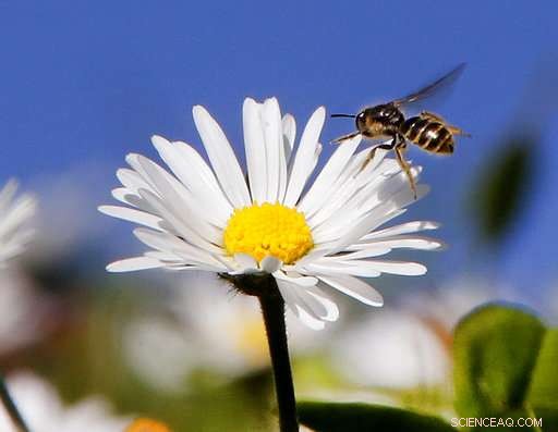 Global Temperature Spike in March Not Attributable to El Niño – Updated Report