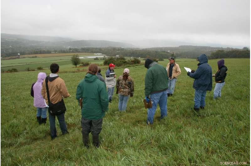 Optimizing Phosphorus Management: A Sustainable Approach