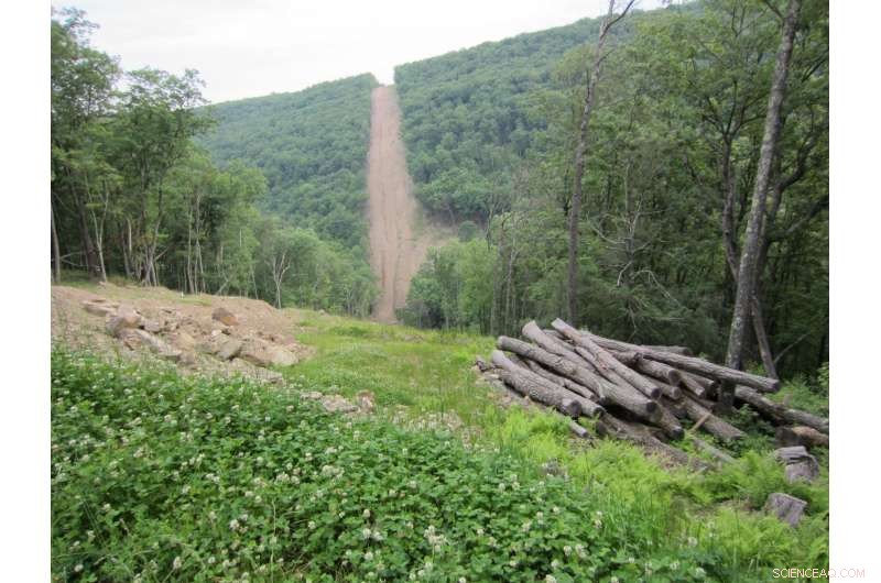 Mitigating Shale Gas Threats to Appalachian Forests by Consolidating Infrastructure