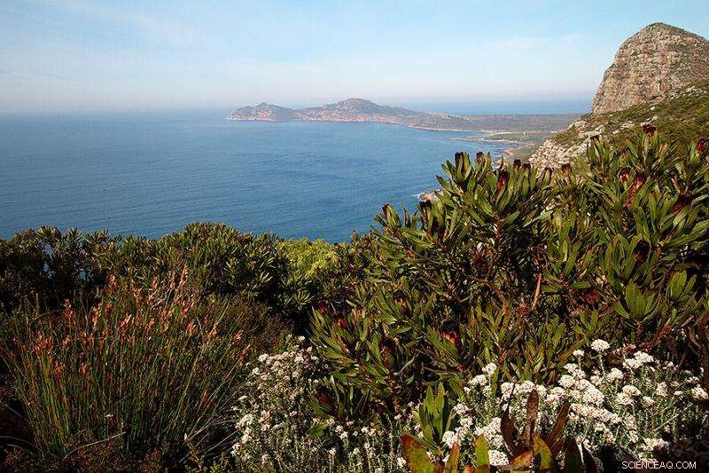 A New Predictive Model for Fire Risk in Fire-Prone Ecosystems