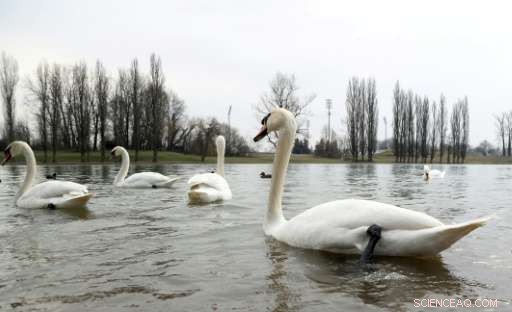 Croatian Rivers Threatened by Hydroelectric Development