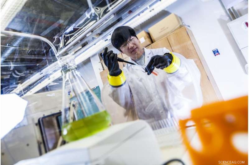 Harnessing Bacteria to Combat Antimicrobial Pollution in Soil and Water