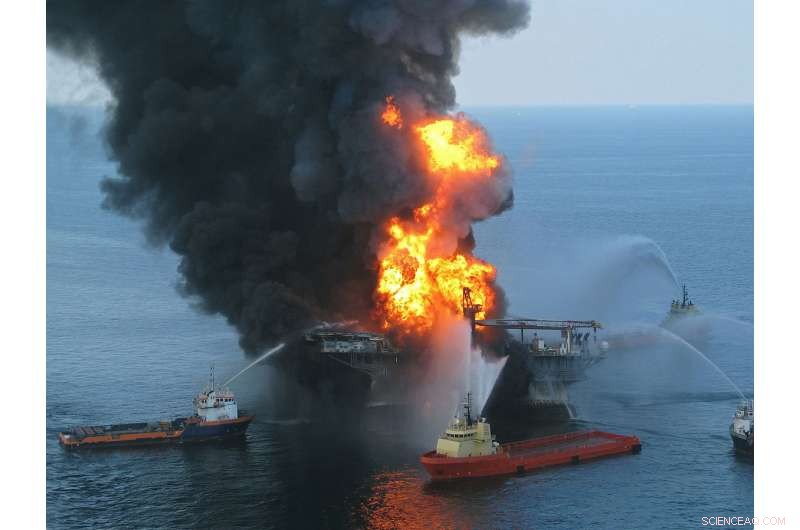 Scientists Estimate BP Deepwater Horizon Spill Costed $17.2 Billion in Natural Resource Damage