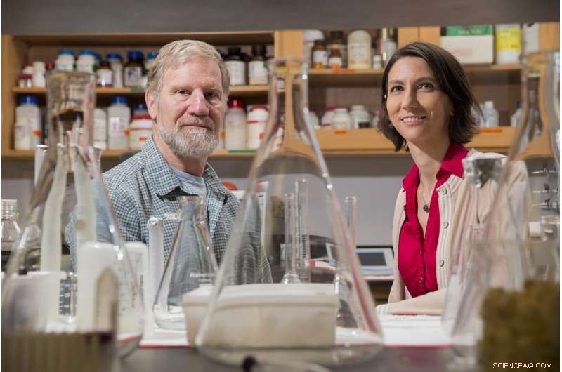 Study Reveals Rising Water Temperatures Threaten Coastal Ecosystem Health