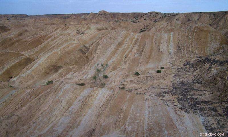 Tibet Sediment Layers Uncover Millions-Year Climate History