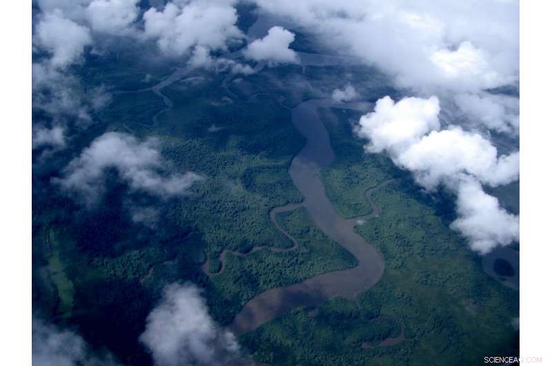 Heavy Rainfall Accelerates Carbon Exchange in Tropical Forests