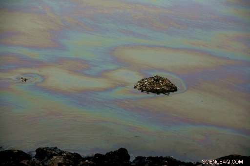 Canary Islands Tackle 3‑km Diesel Spill After Ferry Accident