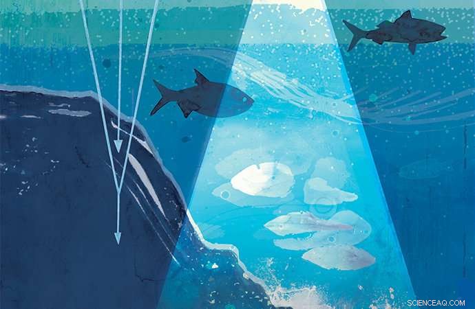 Scientists Probe the Ocean s Deep Biosphere