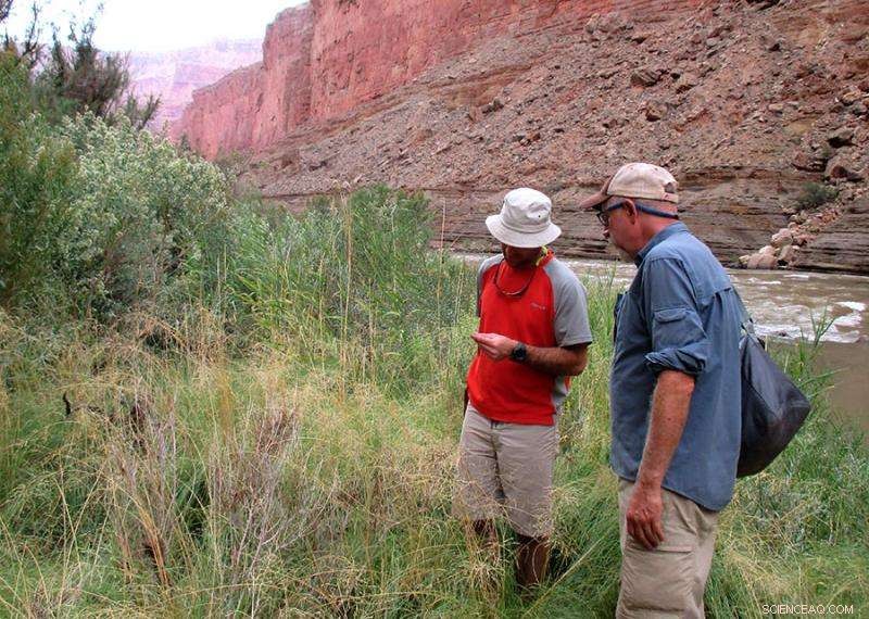 Climate Change Expected to Dramatically Alter Grand Canyon Vegetation, Study Finds