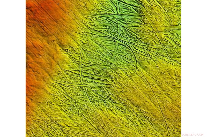 New Polar Seafloor Atlas Offers Unprecedented High-Resolution Imagery