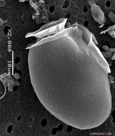 Study Links Global Warming to Rising Ocean Toxicity