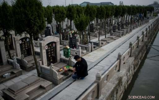 Human Corpses After Death Alter Soil Chemistry, New Study Shows