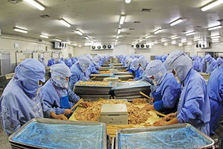 Opinion: Six Ways Meat Consumption Threatens Our Planet