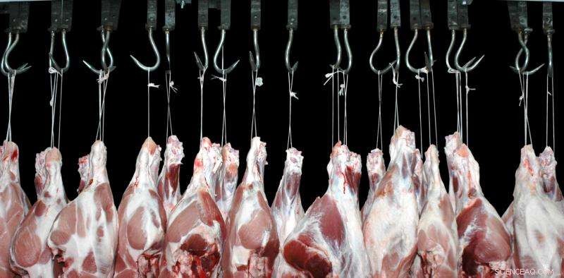 Opinion: Six Ways Meat Consumption Threatens Our Planet