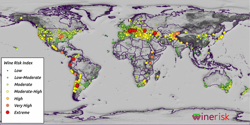 Nature’s Fury: How Argentina’s Mendoza Region Protects Its Grapes