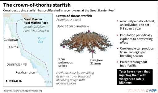 Vinegar Provides a Promising Solution Against Crown-of-Thorns Starfish on the Great Barrier Reef