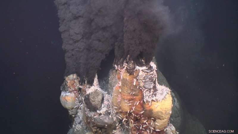 Underwater Debris Threatens Viability of Sustainable Deep-Sea Mining