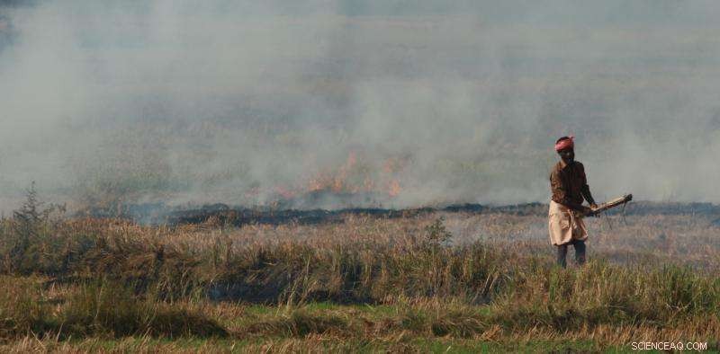 Transforming India’s Agricultural Waste into Clean Bio‑Energy Pellets