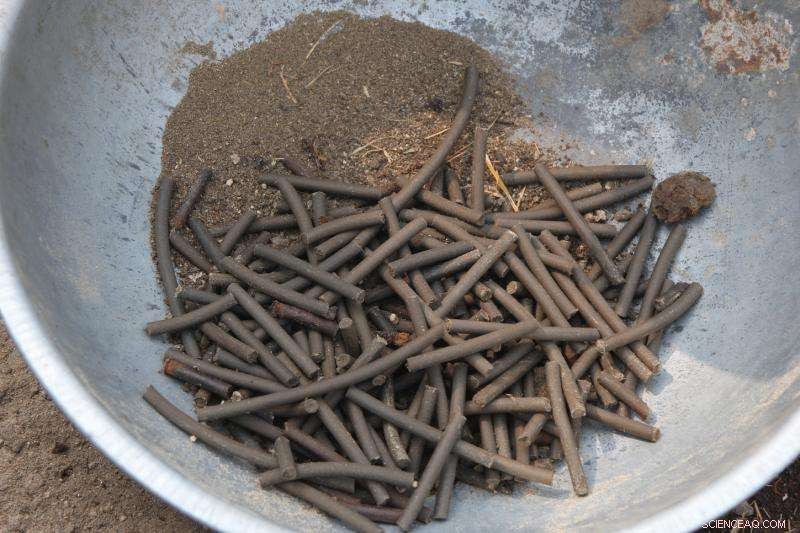 Transforming India’s Agricultural Waste into Clean Bio‑Energy Pellets