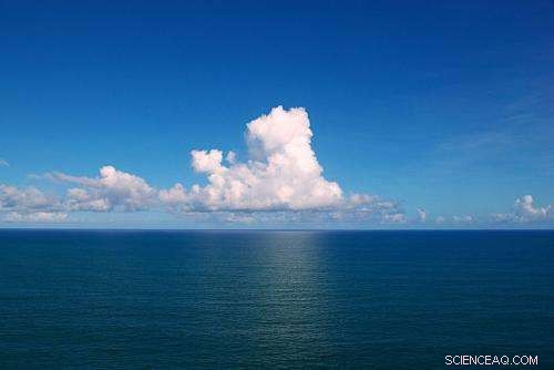 Increasing CO₂ and Ocean Acidification Threaten Vital Marine Processes