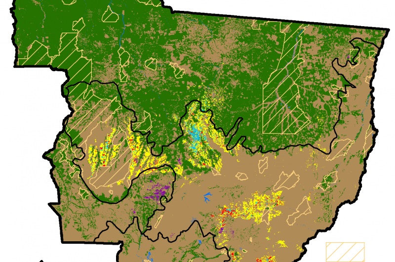 Researchers Use Unique Data to Measure Brazil’s Soy Moratorium Impact on Expanding Agriculture