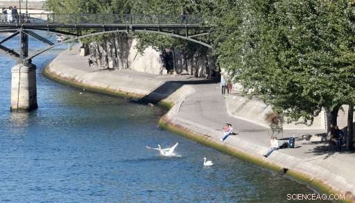 Urban Centers Brace for Climate Challenges: Strengthening Flood Defenses Amid Rising Heat