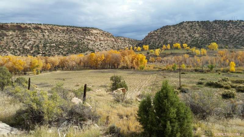 Why Microbes Can t Decompose Organic Carbon Underground: New Mechanism Unveiled