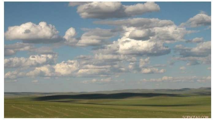 Pioneering Intensive Measurements of Shallow Cumulus Clouds over Inner Mongolia Grassland
