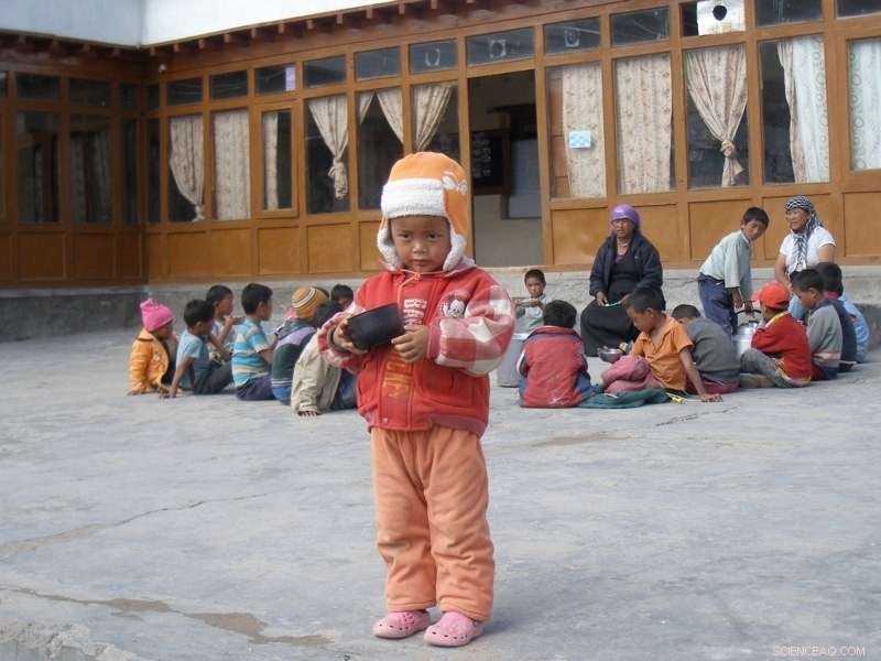 University of Cincinnati Study Reveals Traffic Pollution on Remote Himalayan Highway