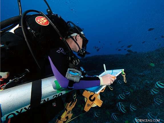 WSU Marine Biologists Reveal Rich Fish Diversity in Uncharted Deep Hawaiian Reef