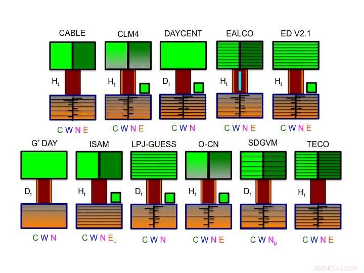 Comprehensive Index to Identify Key Ecosystem Processes