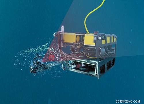 Laser Imaging Unlocks the Hidden Biology of Giant Larvaceans