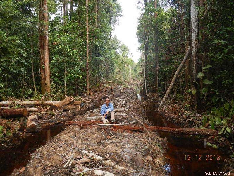 Hydrological Drought Fuels Record Wildfires Across Borneo’s Humid Tropics