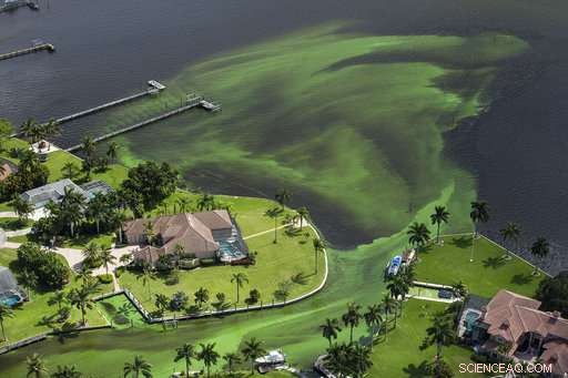 Florida s Building Boom Threatens the Wildlife‑Rich Indian River Lagoon