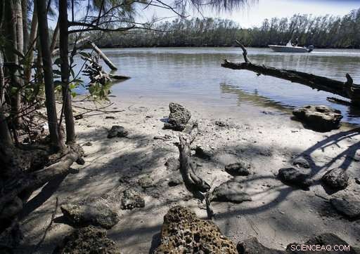Florida s Building Boom Threatens the Wildlife‑Rich Indian River Lagoon