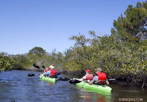Florida s Building Boom Threatens the Wildlife‑Rich Indian River Lagoon