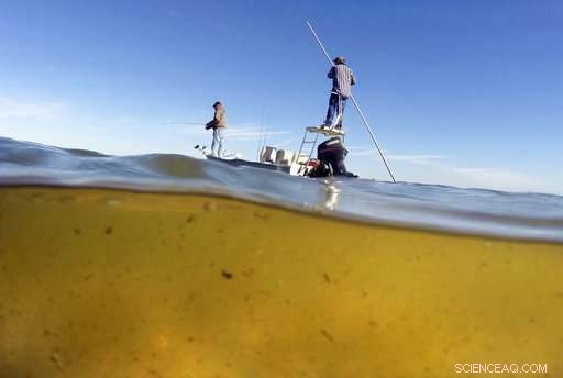 Florida s Building Boom Threatens the Wildlife‑Rich Indian River Lagoon