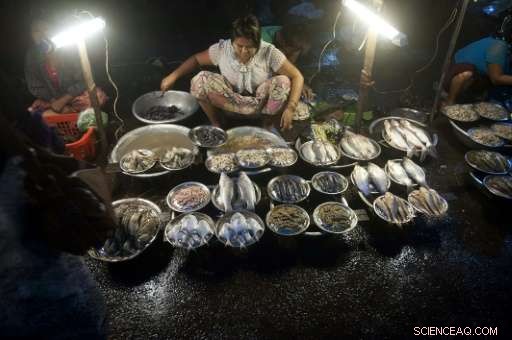 Myanmar Coal Expansion Threatens 280,000 Lives, Study Finds