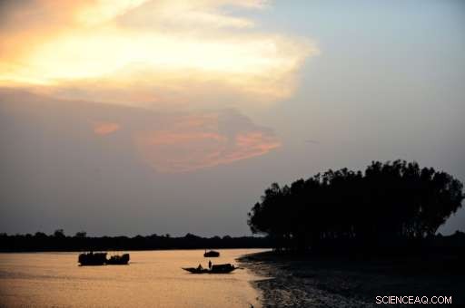 Greenpeace: Bangladesh Coal Plant Could Cause 6,000 Early Deaths