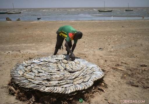 Kenyan Lake Threatens Fishing Communities: Armed Conflict Over Resources