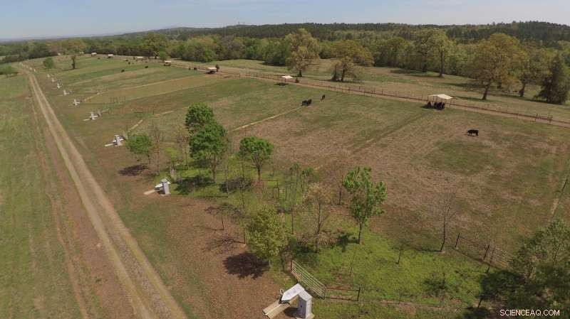 Effective Pasture Management & Riparian Buffers Significantly Reduce Erosion
