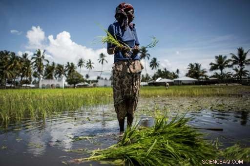 Mozambique s Natural Gas Boom Faces Growing Risks