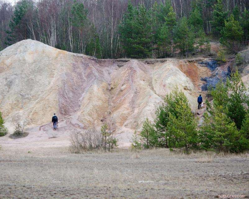 Mineral Weathering Rejuvenates Earth s Battered Bedrock After Mass Extinction