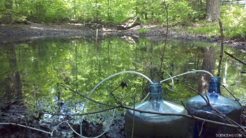 Size Matters: How Pond Dimensions Influence Gas Exchange in Water Bodies