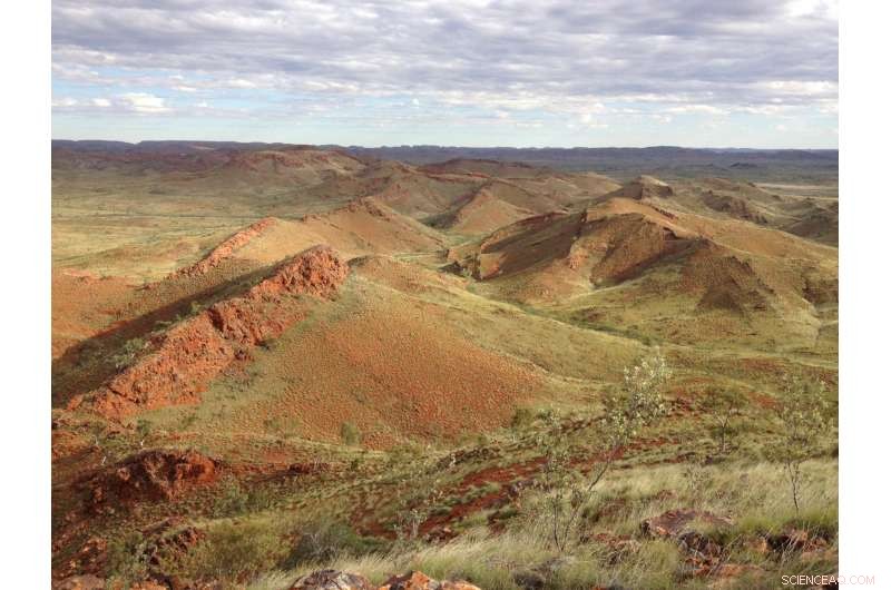 Scientists Discover 3.48‑Billion‑Year‑Old Fossils: Earliest Proof of Terrestrial Life in Australian Rocks