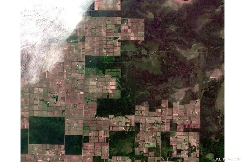 Commercial Agriculture Accelerates Tropical Forest Loss