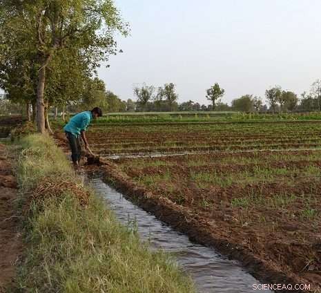 Excessive Water Use Endangers Global Food Security