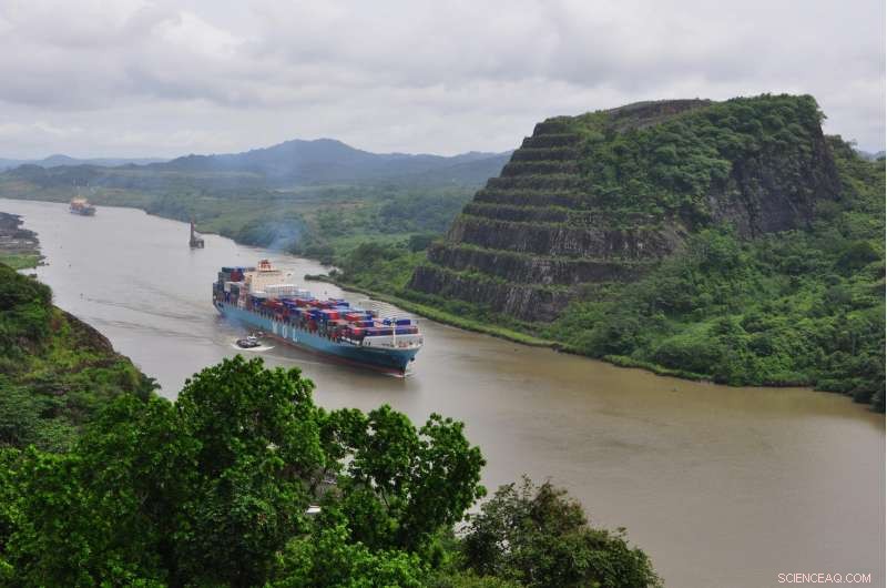How Tectonic Shifts Influenced the Composition of Panama Canal Rocks